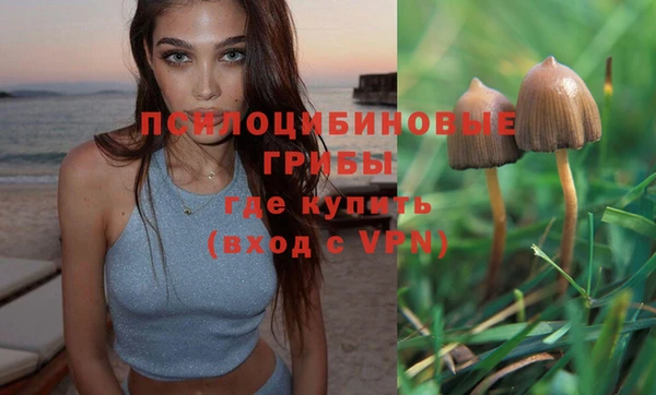 первитин Володарск